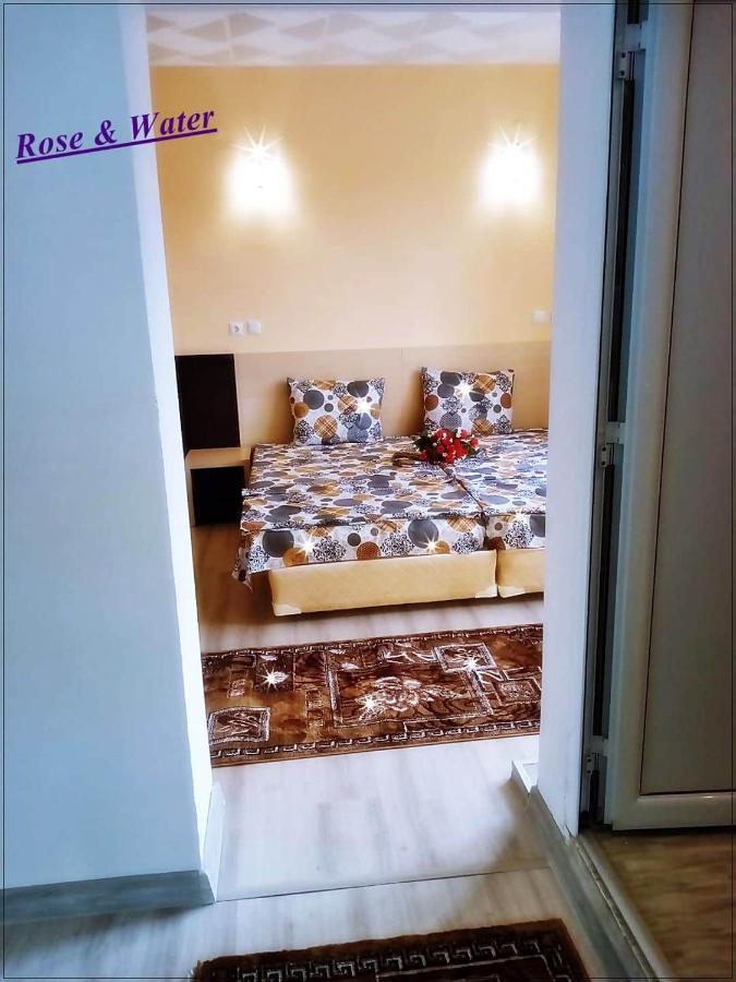 Rose & Water Guest House 帕维尔巴尼亚 外观 照片