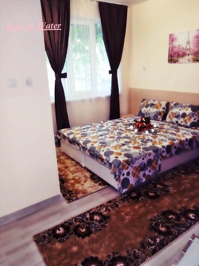 Rose & Water Guest House 帕维尔巴尼亚 外观 照片