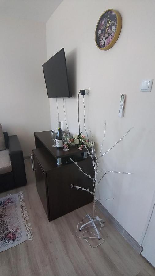 Rose & Water Guest House 帕维尔巴尼亚 外观 照片