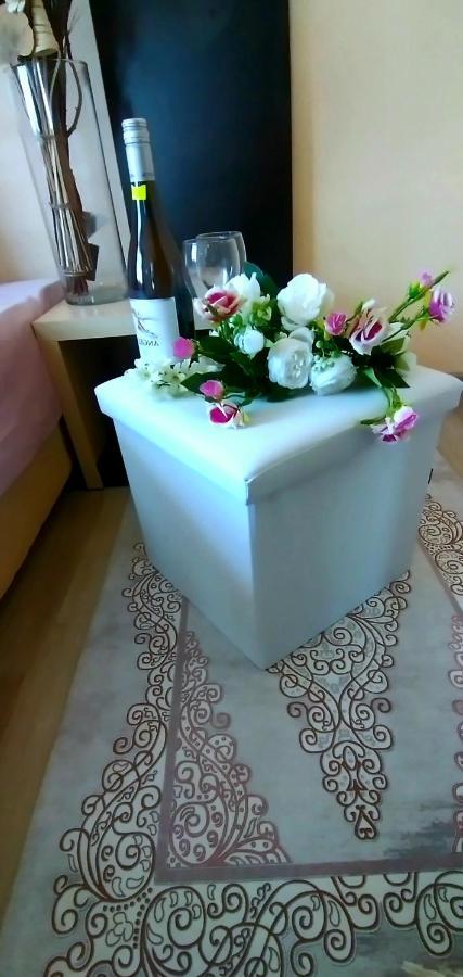 Rose & Water Guest House 帕维尔巴尼亚 外观 照片