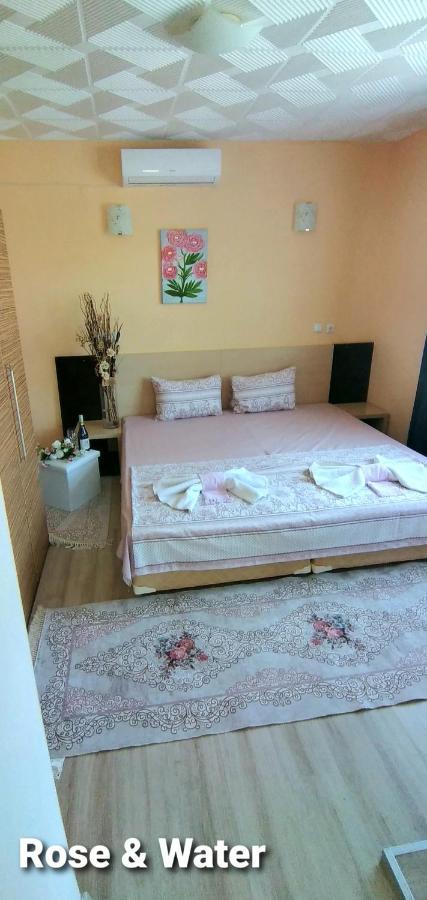 Rose & Water Guest House 帕维尔巴尼亚 外观 照片