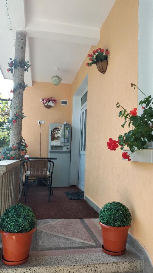 Rose & Water Guest House 帕维尔巴尼亚 外观 照片
